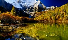 留一片净土给自己