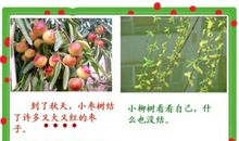 与“枣树”一起走过的日子