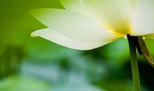 心地清净，走下去