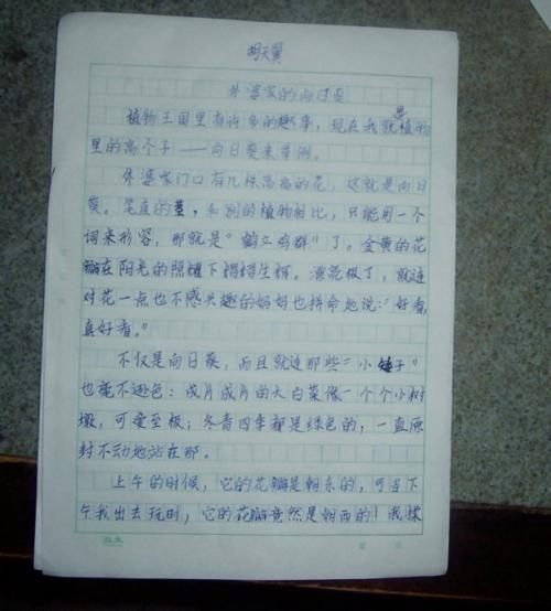 写老师的作文
