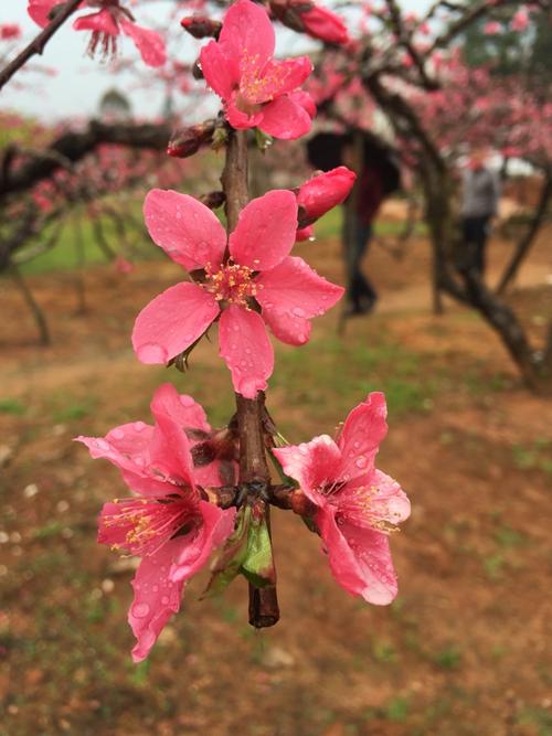 我想赶紧停下来