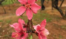 我想停下匆匆的脚步