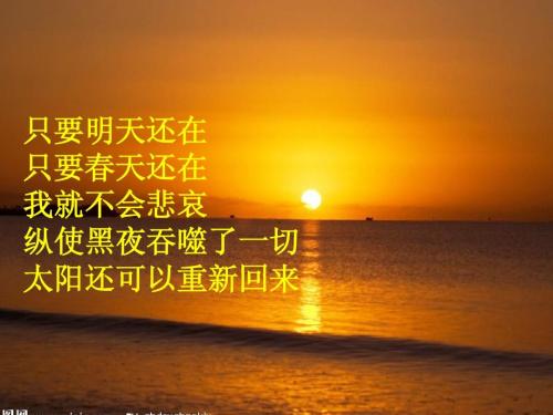 爱情诗是我的名片