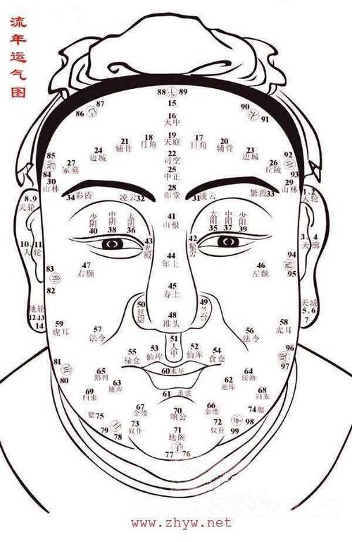 铅笔的自述文件