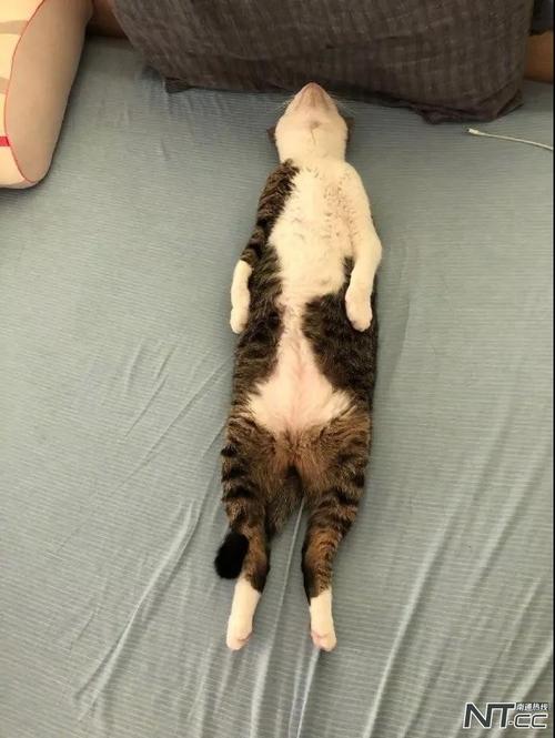独自在家睡觉