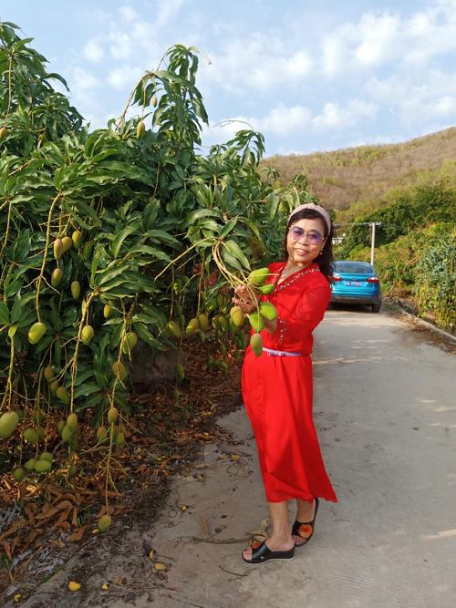 2020难忘的春节
