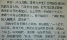 关于玩具的作文