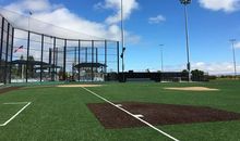 足球场上的风景