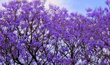 春天就应该这样度过