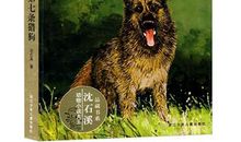 第七条猎狗读后感