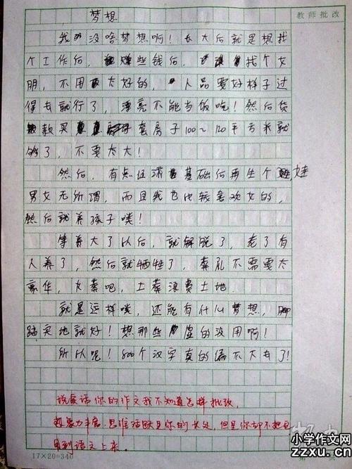 我老师的作文600字