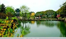 春风又绿江南岸