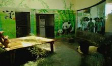 游览长沙生态动物园