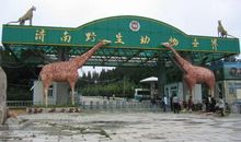 游济南野生动物园