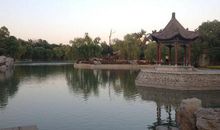 美丽的达活泉公园