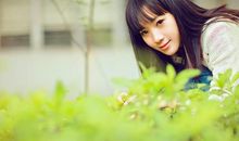 一抹淡淡的回忆