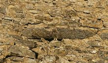 隐藏在照片中的成长