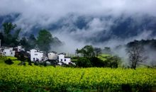 婺源风景