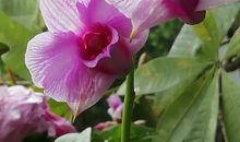 2020一个特殊的春节