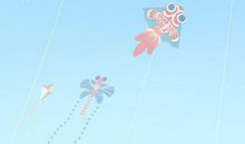 你的微笑比阳光更灿烂