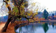 走进故乡的四季