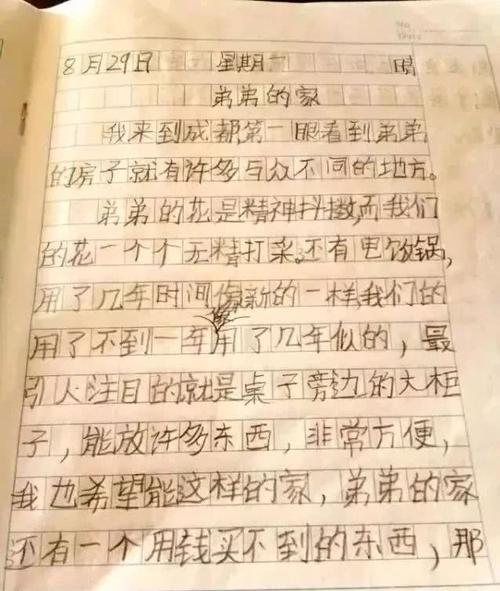 描述弟弟的构图