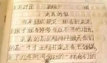 描写弟弟的作文