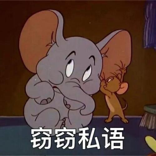 猫和老鼠的战斗