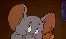 猫抓老鼠大作战