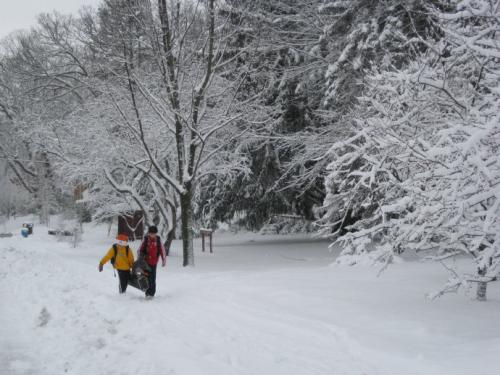 难忘的雪