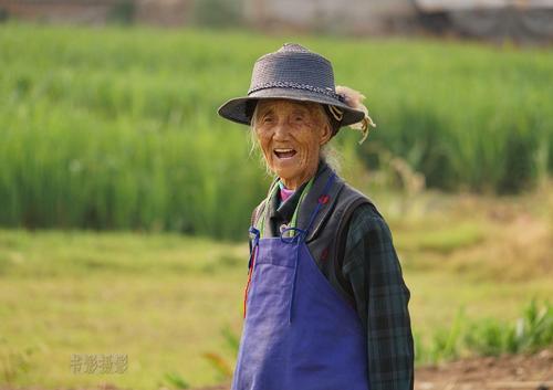 奶奶最忙