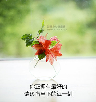 珍惜和平