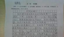 我的星期天作文