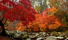 城市中的那抹红色