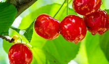 苦难让生命绽放