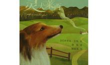 灵犬莱西读后感