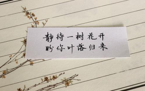 期待您的回报