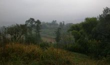 保持一颗坚定的心