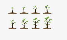 那一刻我长大了作文400字作文