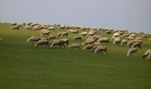 蒙古山水的风光
