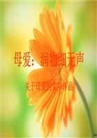 母爱无声