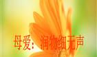 母爱润无声