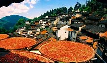 意想不到的惊喜