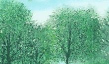 把阳光装在心底