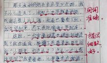 照片里的温暖四年级作文400字