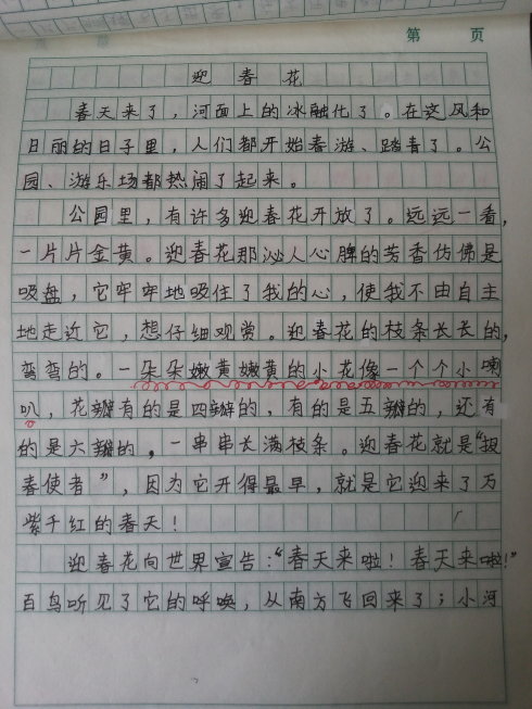 关于雨露的构图