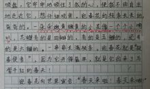 以雨露为话题的作文