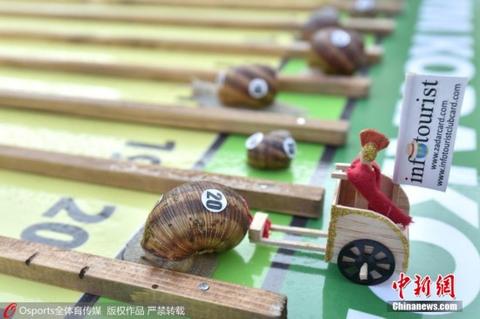 蜗牛赛跑