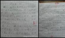 地板上的印痕初中作文