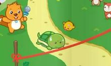 我与乌龟的故事